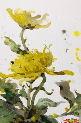 简单好看的水彩画教程步骤图片，秋菊水彩画