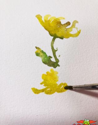 简单好看的水彩画教程步骤图片，秋菊水彩画