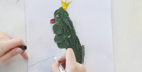 树叶贴画鹦鹉制作方法