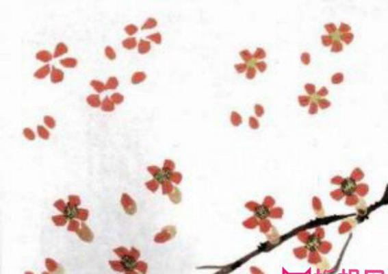 中国画，木棉花的春天