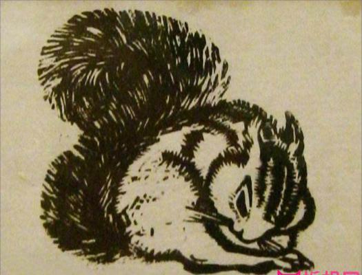 黑白木版画，可爱的小松鼠
