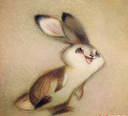 漂亮的手绘插画图片，超可爱的小兔子