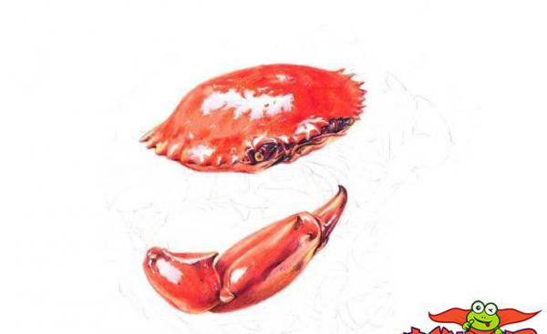 螃蟹怎么画，螃蟹彩铅画教程图解