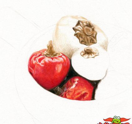 彩铅手绘教程图解，红艳艳的泡椒