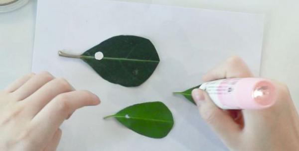 小刺猬树叶贴画作品怎么做