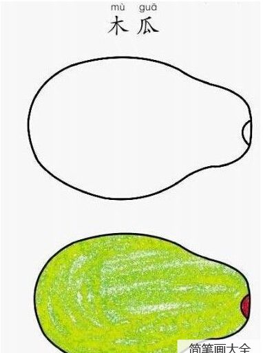 木瓜的简笔画图片
